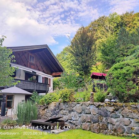 Ferienapartment Opitz - Zugspitzregion オールシュタット エクステリア 写真