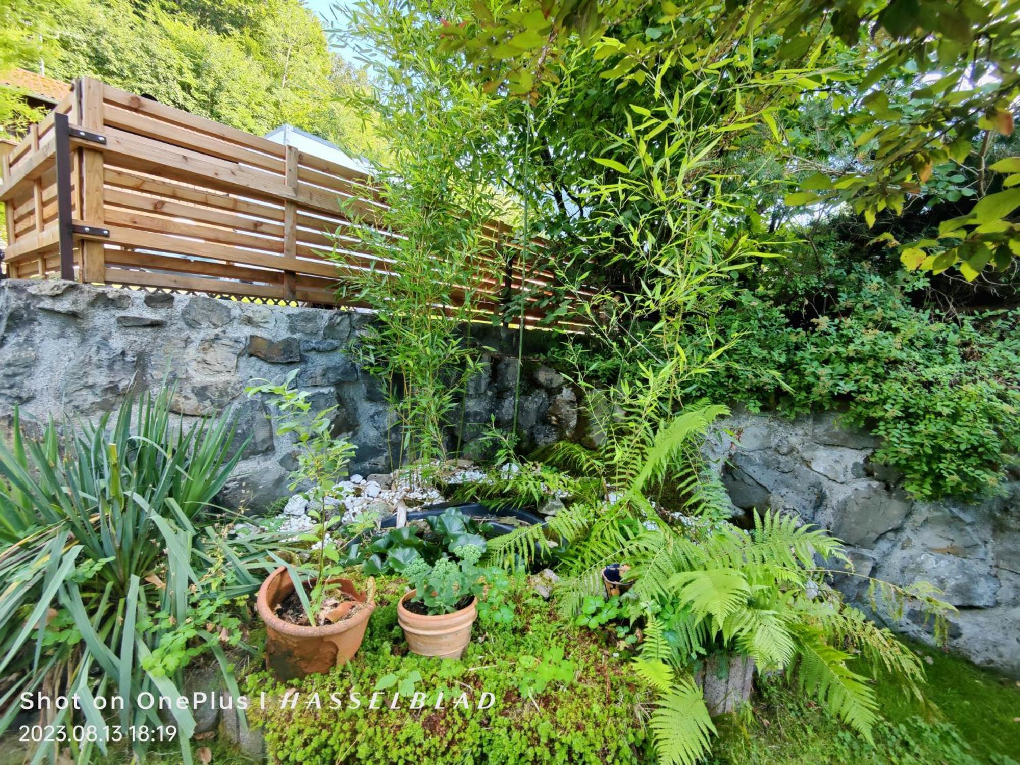Ferienapartment Opitz - Zugspitzregion オールシュタット エクステリア 写真